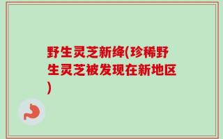 野生灵芝新绛(珍稀野生灵芝被发现在新地区)