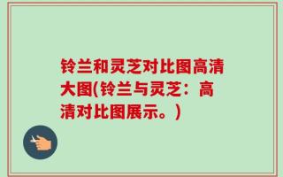 铃兰和灵芝对比图高清大图(铃兰与灵芝：高清对比图展示。)