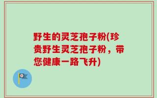 野生的灵芝孢子粉(珍贵野生灵芝孢子粉，带您健康一路飞升)