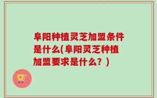 阜阳种植灵芝加盟条件是什么(阜阳灵芝种植加盟要求是什么？)