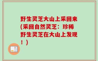 野生灵芝大山上采回来(采回自然灵芝：珍稀野生灵芝在大山上发现！)