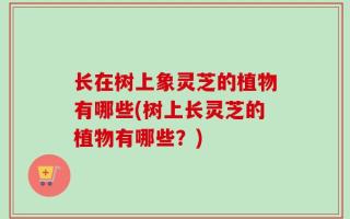 长在树上象灵芝的植物有哪些(树上长灵芝的植物有哪些？)