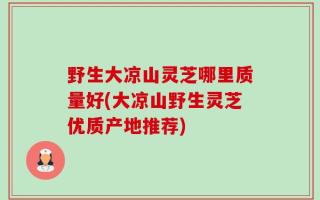 野生大凉山灵芝哪里质量好(大凉山野生灵芝优质产地推荐)