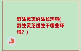 野生灵芝的生长环境(野生灵芝适生于哪些环境？)