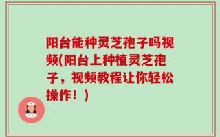 阳台能种灵芝孢子吗视频(阳台上种植灵芝孢子，视频教程让你轻松操作！)
