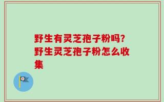 野生有灵芝孢子粉吗？野生灵芝孢子粉怎么收集