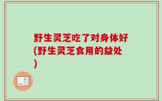 野生灵芝吃了对身体好(野生灵芝食用的益处)