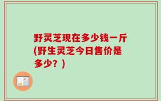 野灵芝现在多少钱一斤(野生灵芝今日售价是多少？)