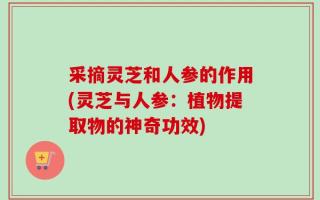 采摘灵芝和人参的作用(灵芝与人参：植物提取物的神奇功效)