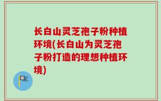 长白山灵芝孢子粉种植环境(长白山为灵芝孢子粉打造的理想种植环境)