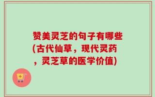 赞美灵芝的句子有哪些(古代仙草，现代灵药，灵芝草的医学价值)