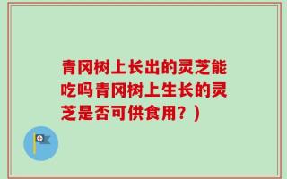 青冈树上长出的灵芝能吃吗青冈树上生长的灵芝是否可供食用？)