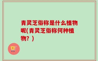 青灵芝俗称是什么植物呢(青灵芝俗称何种植物？)