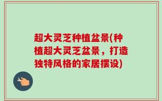 超大灵芝种植盆景(种植超大灵芝盆景，打造独特风格的家居摆设)
