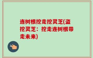 连树根挖走挖灵芝(盗挖灵芝：挖走连树根带走未来)