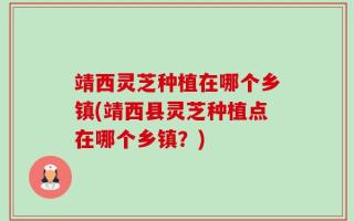 靖西灵芝种植在哪个乡镇(靖西县灵芝种植点在哪个乡镇？)