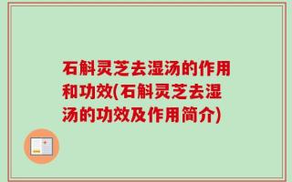 石斛灵芝去湿汤的作用和功效(石斛灵芝去湿汤的功效及作用简介)