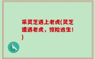 采灵芝遇上老虎(灵芝遭遇老虎，惊险逃生！)
