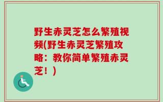 野生赤灵芝怎么繁殖视频(野生赤灵芝繁殖攻略：教你简单繁殖赤灵芝！)