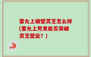 雷允上破壁灵芝怎么样(雷允上究竟能否突破灵芝壁垒？)