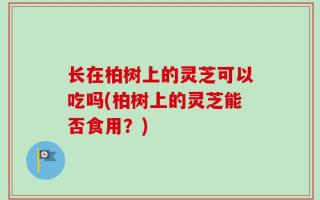 长在柏树上的灵芝可以吃吗(柏树上的灵芝能否食用？)