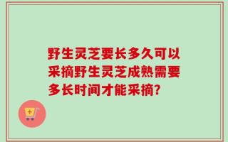 野生灵芝要长多久可以采摘野生灵芝成熟需要多长时间才能采摘？