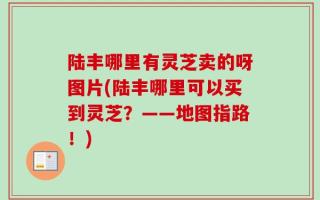 陆丰哪里有灵芝卖的呀图片(陆丰哪里可以买到灵芝？——地图指路！)