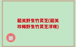 韶关野生竹灵芝(韶关珍稀野生竹灵芝浮现)