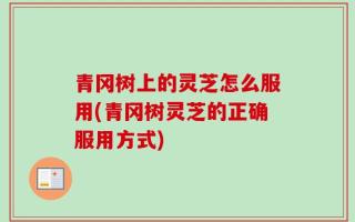 青冈树上的灵芝怎么服用(青冈树灵芝的正确服用方式)