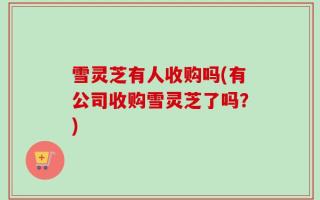 雪灵芝有人收购吗(有公司收购雪灵芝了吗？)