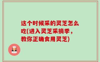这个时候采的灵芝怎么吃(进入灵芝采摘季，教你正确食用灵芝)