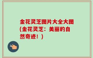 金花灵芝图片大全大图(金花灵芝：美丽的自然奇迹！)