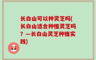 长白山可以种灵芝吗(长白山适合种植灵芝吗？—长白山灵芝种植实践)