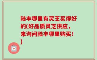 陆丰哪里有灵芝买得好的(好品质灵芝供应，来询问陆丰哪里购买！)