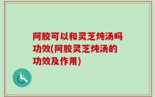 阿胶可以和灵芝炖汤吗功效(阿胶灵芝炖汤的功效及作用)