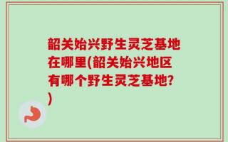 韶关始兴野生灵芝基地在哪里(韶关始兴地区有哪个野生灵芝基地？)