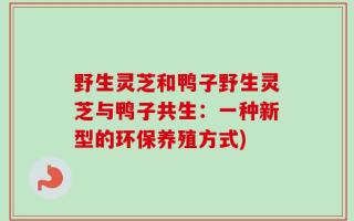 野生灵芝和鸭子野生灵芝与鸭子共生：一种新型的环保养殖方式)