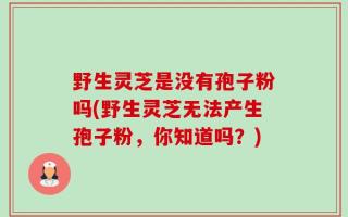 野生灵芝是没有孢子粉吗(野生灵芝无法产生孢子粉，你知道吗？)