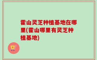 霍山灵芝种植基地在哪里(霍山哪里有灵芝种植基地)