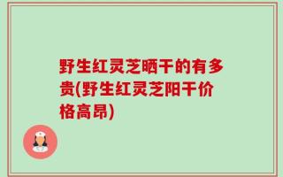 野生红灵芝晒干的有多贵(野生红灵芝阳干价格高昂)