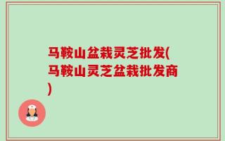 马鞍山盆栽灵芝批发(马鞍山灵芝盆栽批发商)