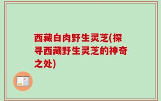 西藏白肉野生灵芝(探寻西藏野生灵芝的神奇之处)