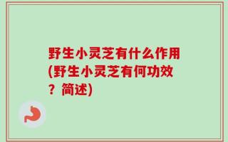 野生小灵芝有什么作用(野生小灵芝有何功效？简述)