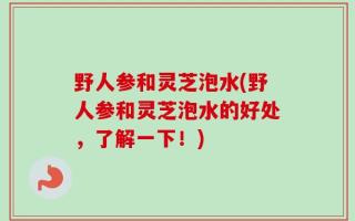 野人参和灵芝泡水(野人参和灵芝泡水的好处，了解一下！)