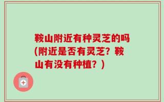 鞍山附近有种灵芝的吗(附近是否有灵芝？鞍山有没有种植？)