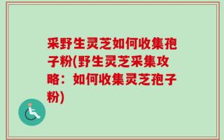 采野生灵芝如何收集孢子粉(野生灵芝采集攻略：如何收集灵芝孢子粉)