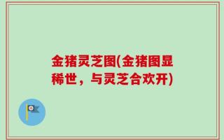 金猪灵芝图(金猪图显稀世，与灵芝合欢开)