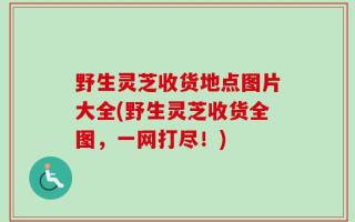 野生灵芝收货地点图片大全(野生灵芝收货全图，一网打尽！)