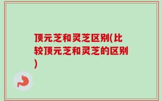 顶元芝和灵芝区别(比较顶元芝和灵芝的区别)