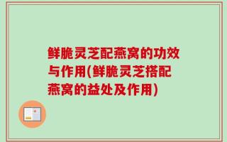 鲜脆灵芝配燕窝的功效与作用(鲜脆灵芝搭配燕窝的益处及作用)